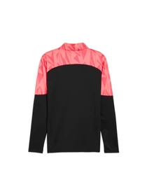 Худи и свитшоты PUMA Indfinal Ff. 1/4 Zip-top модель 659262 Фото