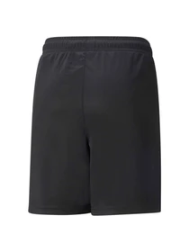 Шорти PUMA Teamliga Training Shorts2 Jr модель 657668 Фото