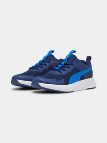 Кроссовки PUMA Evolve Run Mesh Jr модель 386238 Фото