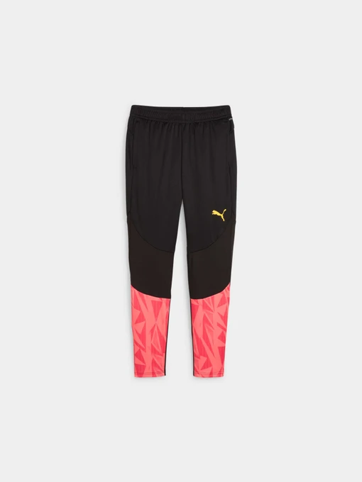 Брюки PUMA Indfinal Ff. Training Pants модель 659269 Фото