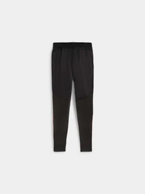 Брюки PUMA Indfinal Ff. Training Pants модель 659269 Фото