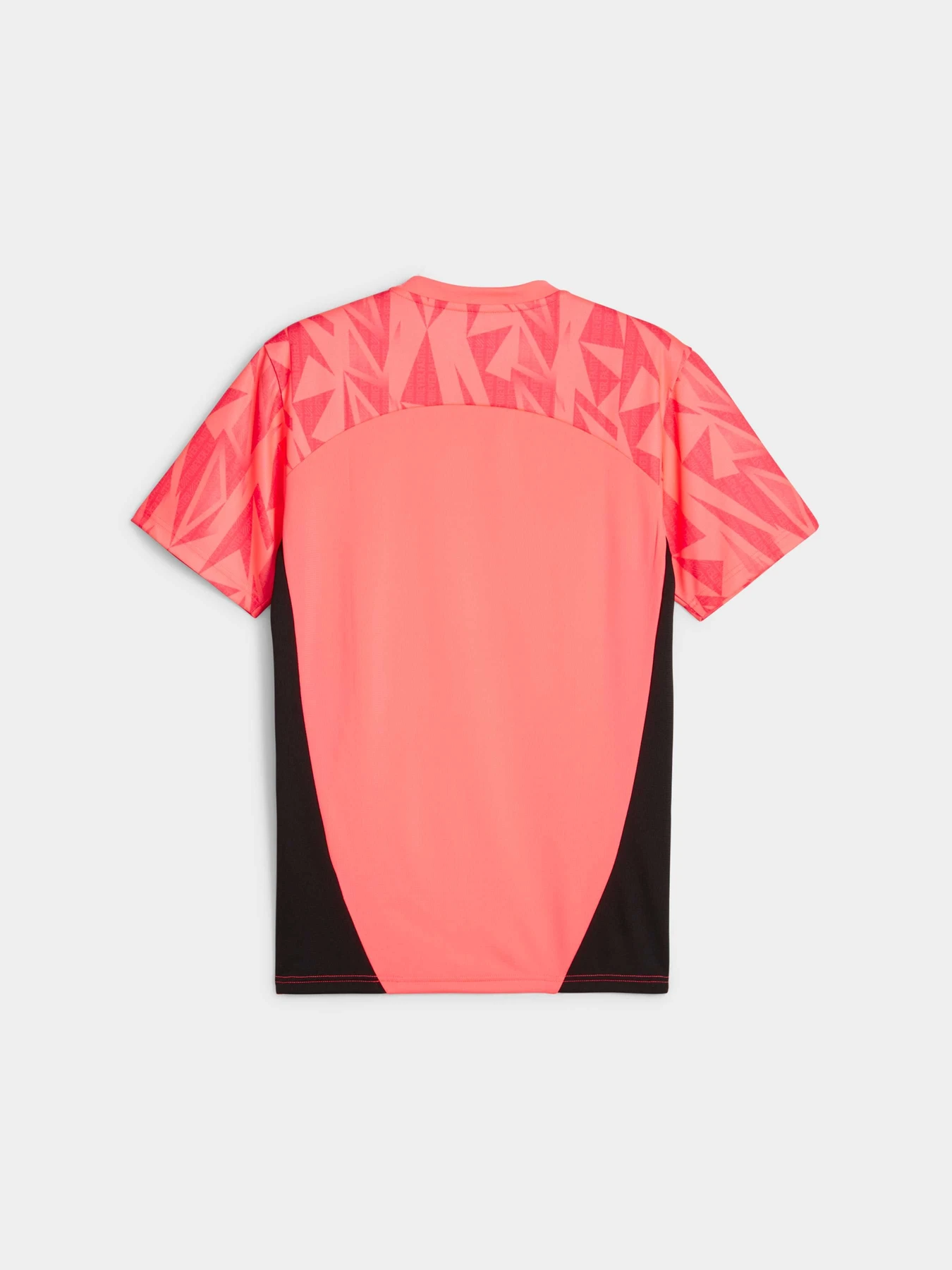 Футболки и поло PUMA Individualfinal Ff. Jersey модель 659264 Футболки и поло PUMA Individualfinal Ff. Jersey модель 659264 Фото