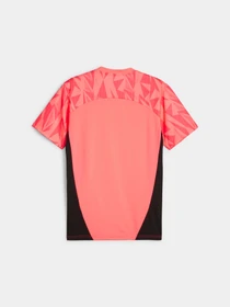 Футболки и поло PUMA Individualfinal Ff. Jersey модель 659264 Фото
