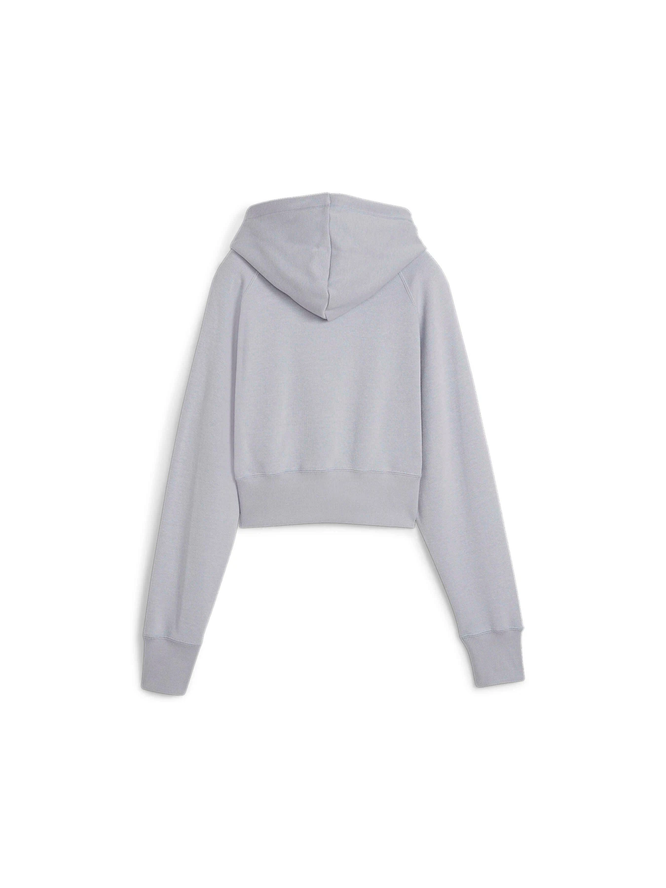 Худі та світшоти PUMA Classics+ Relaxed Hoodie модель 624273 Фото