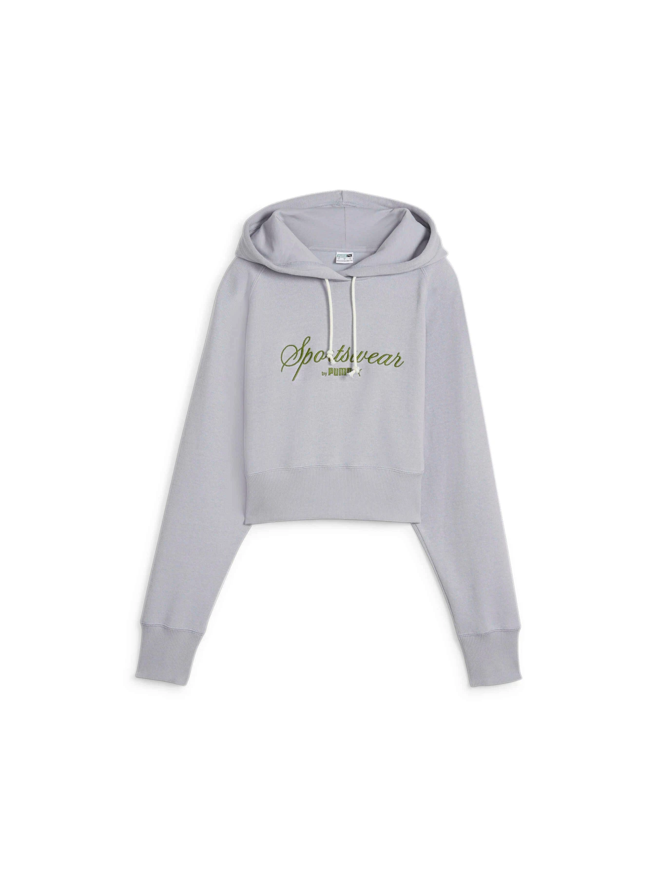 Худі та світшоти PUMA Classics+ Relaxed Hoodie модель 624273 Фото