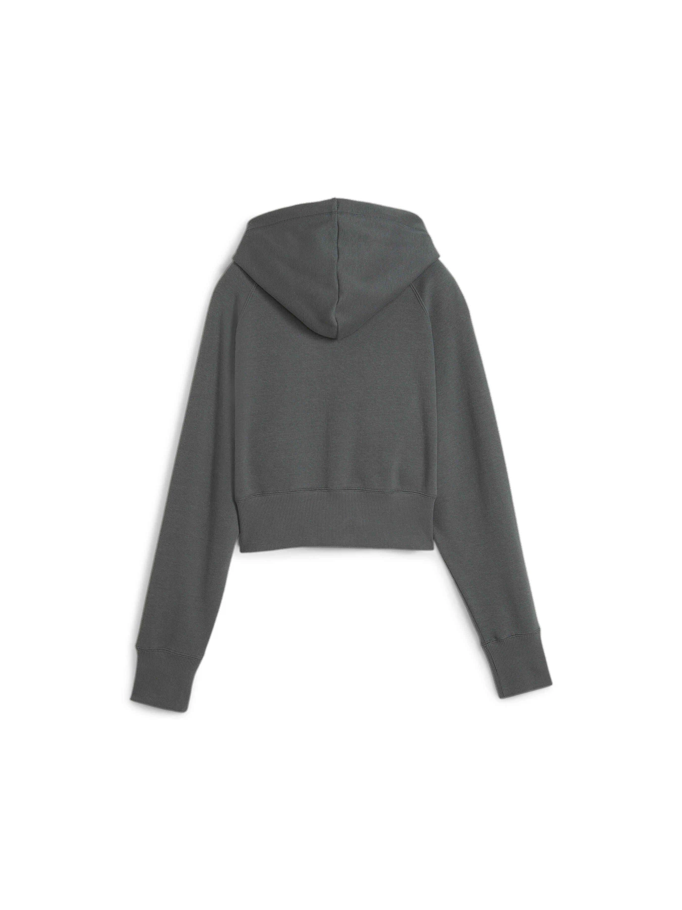 Худі та світшоти PUMA Classics+ Relaxed Hoodie модель 624273 Фото