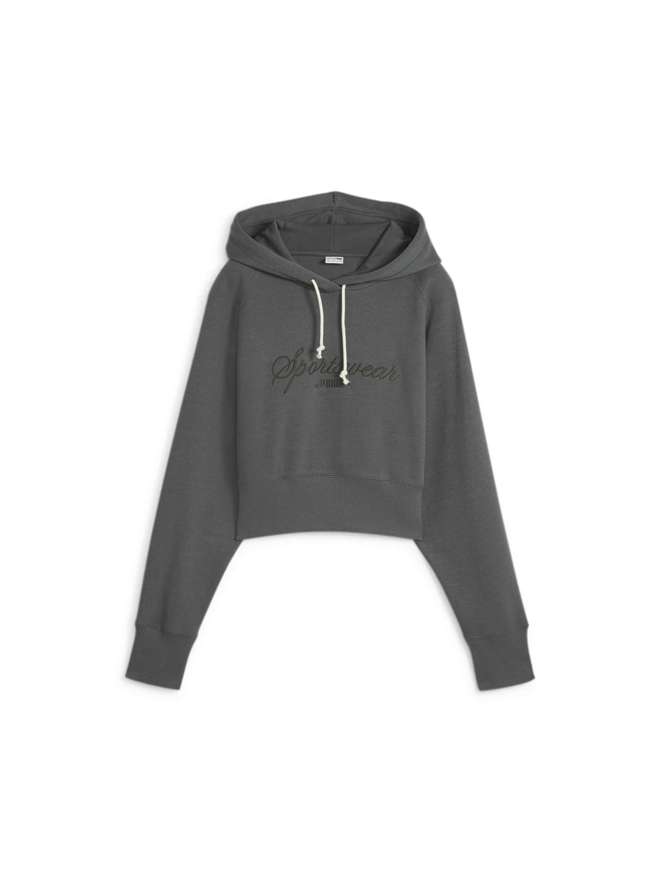 Худі та світшоти PUMA Classics+ Relaxed Hoodie модель 624273 Фото