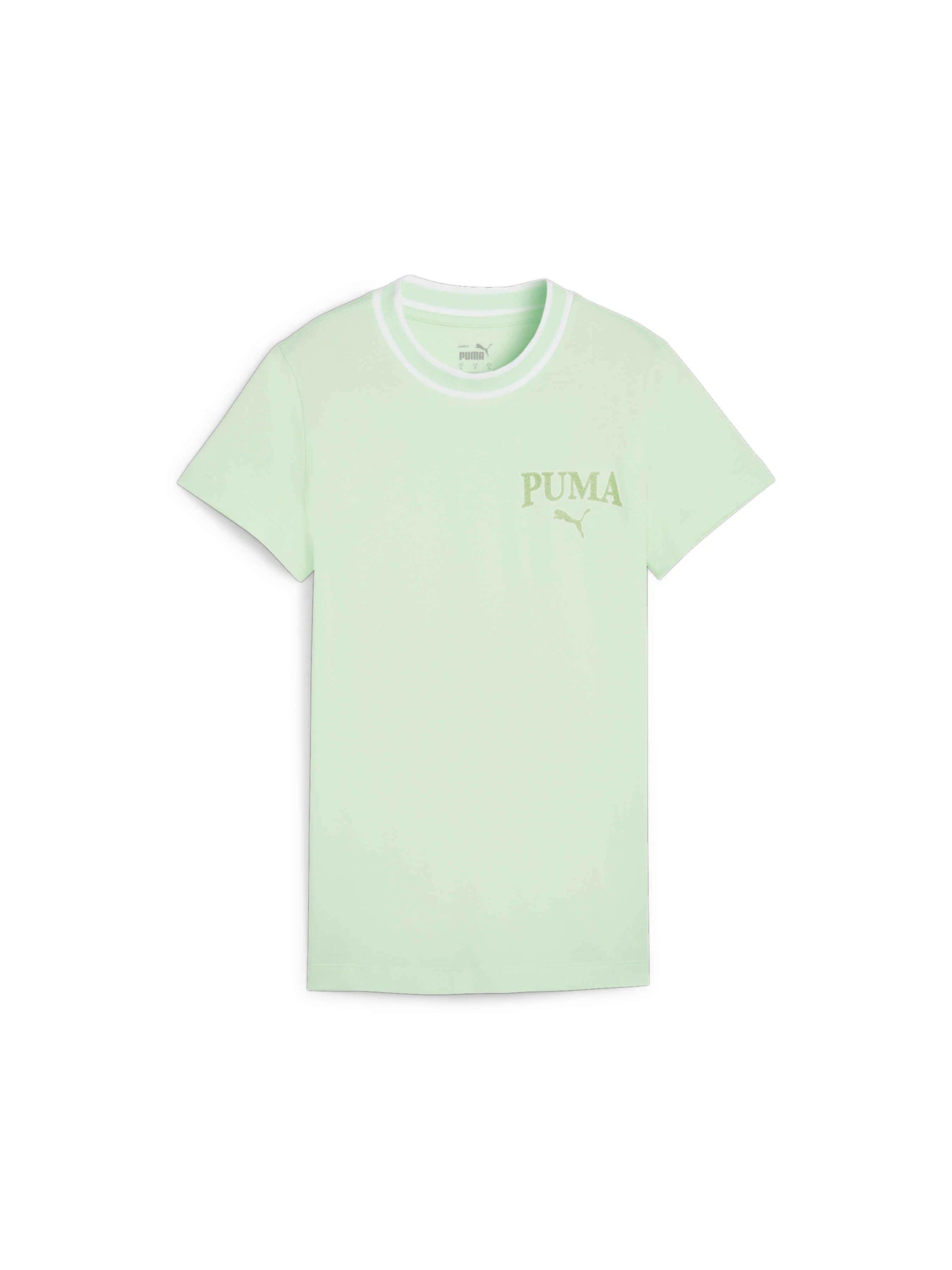 Футболки и поло PUMA Squad Tee модель 677897 Футболки и поло PUMA Squad Tee модель 677897 Фото
