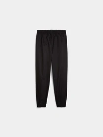 Брюки PUMA Ess Chino Pants модель 680450 Фото