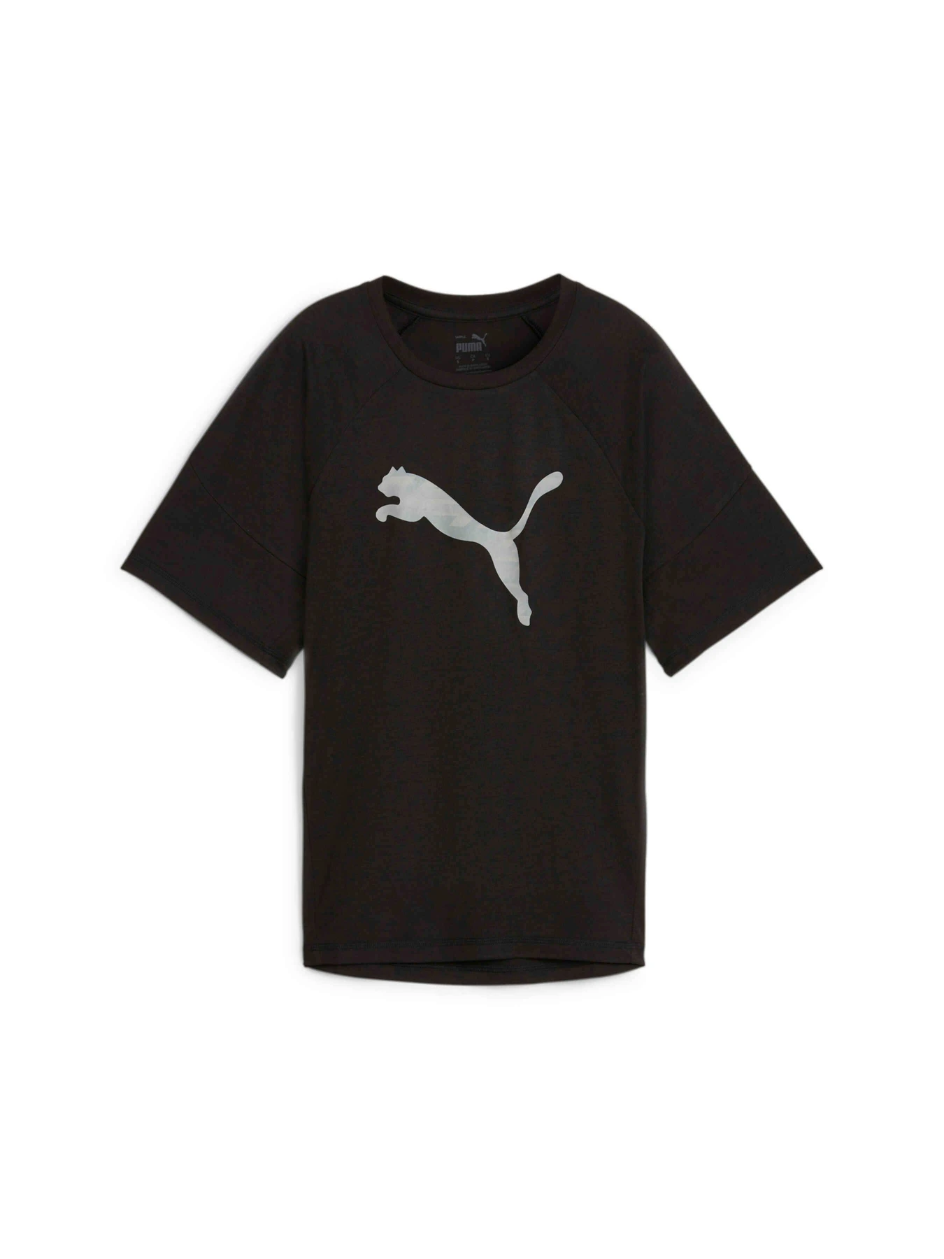 Футболки и поло PUMA Evostripe Graphic Tee модель 677876 Фото