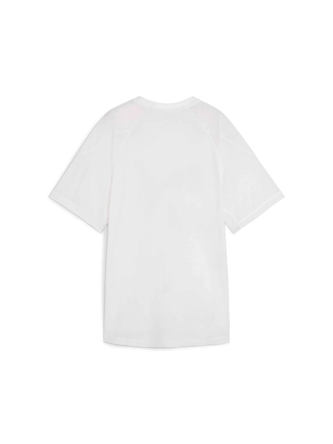Футболки и поло PUMA Evostripe Graphic Tee модель 677876 Фото