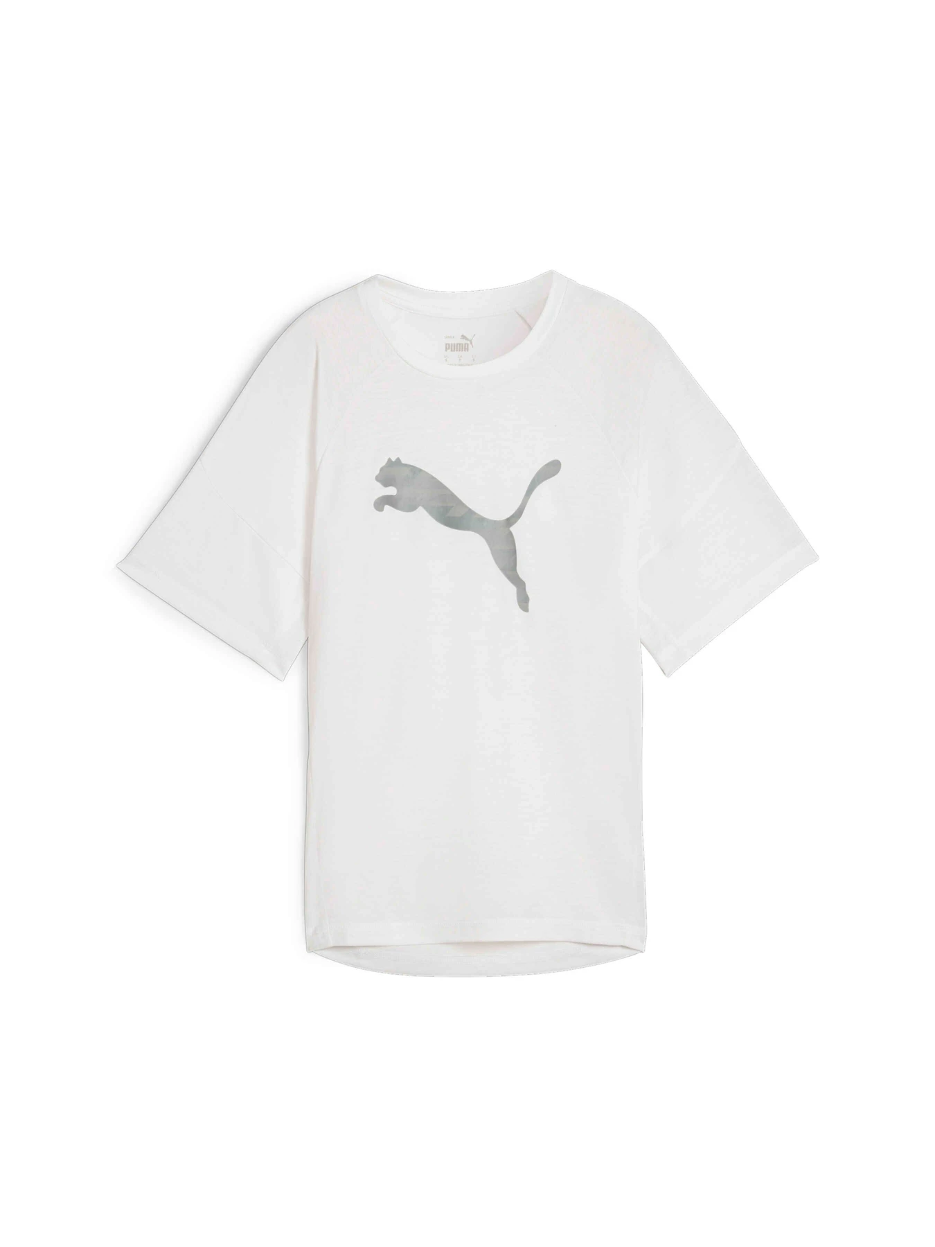 Футболки и поло PUMA Evostripe Graphic Tee модель 677876 Фото