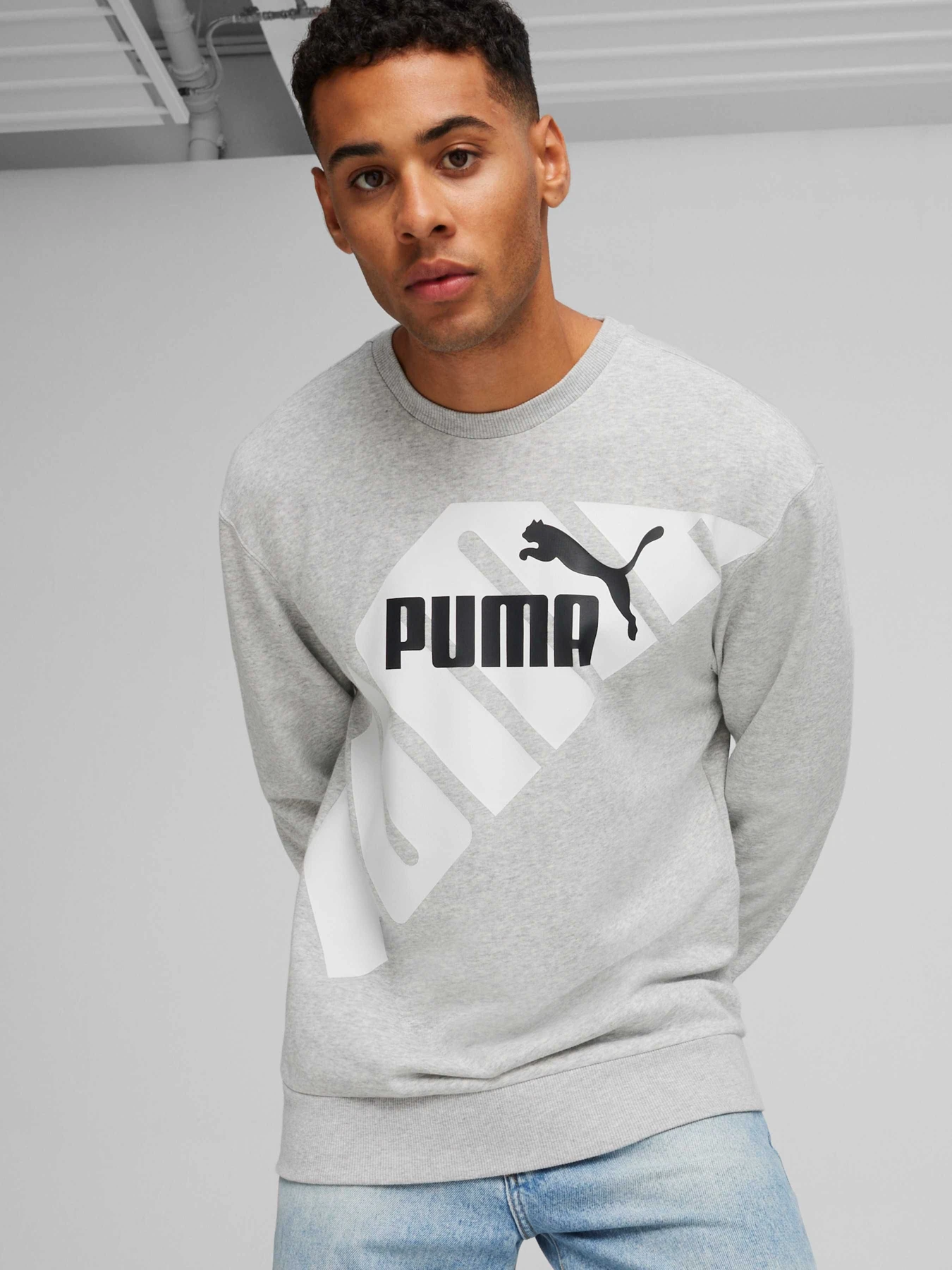 Худи и свитшоты PUMA Power Graphic Crew модель 678961 Худи и свитшоты PUMA Power Graphic Crew модель 678961 Фото