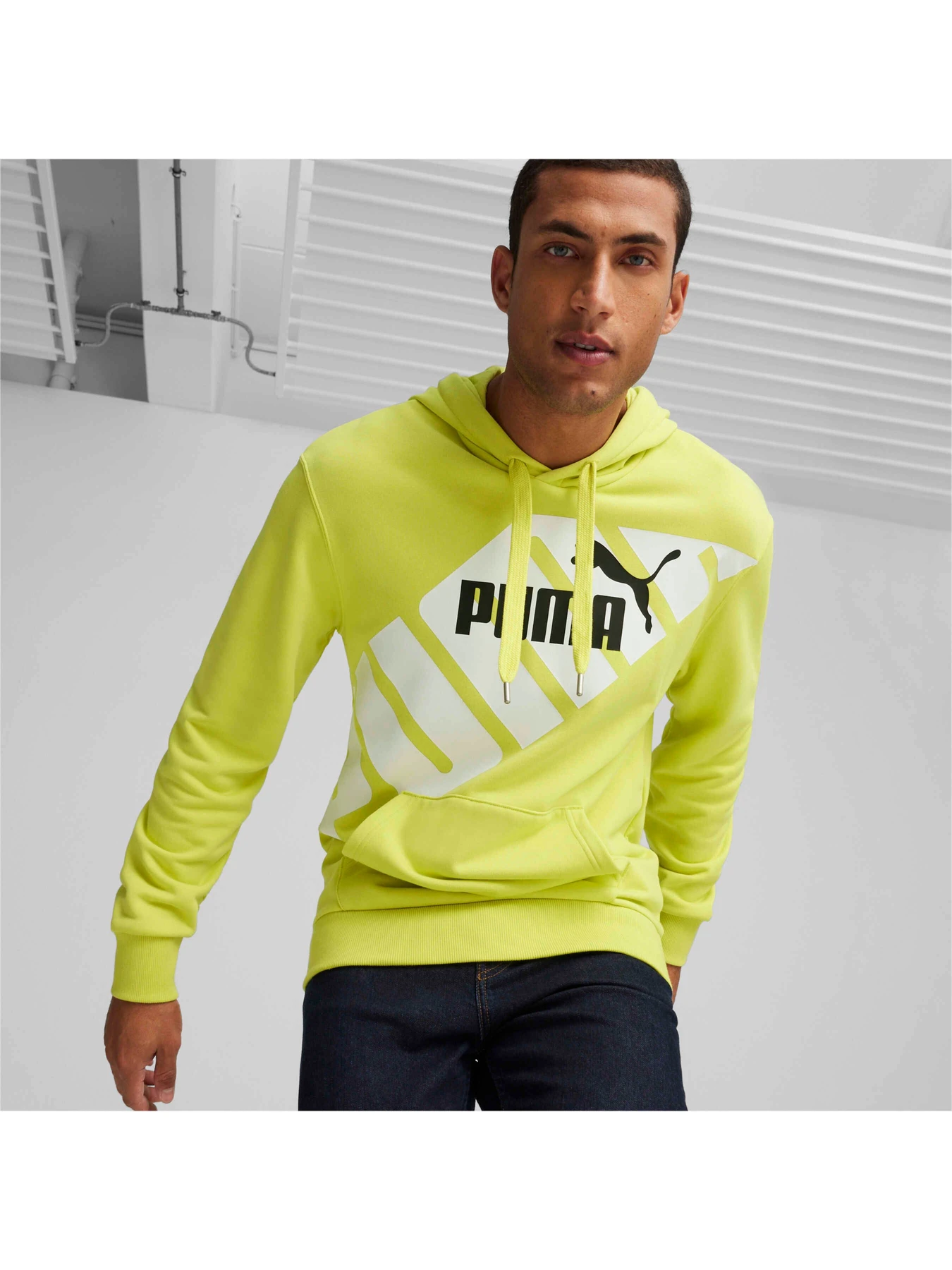 Худи и свитшоты PUMA Power Graphic Hoodie модель 678963 Фото