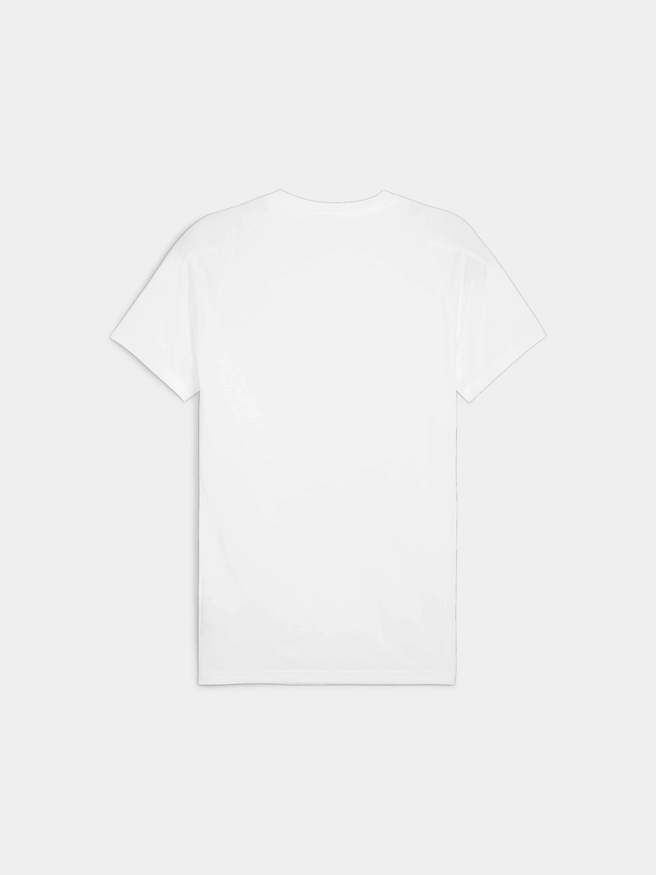 Футболки і поло PUMA Evostripe Tee модель 678992 Фото