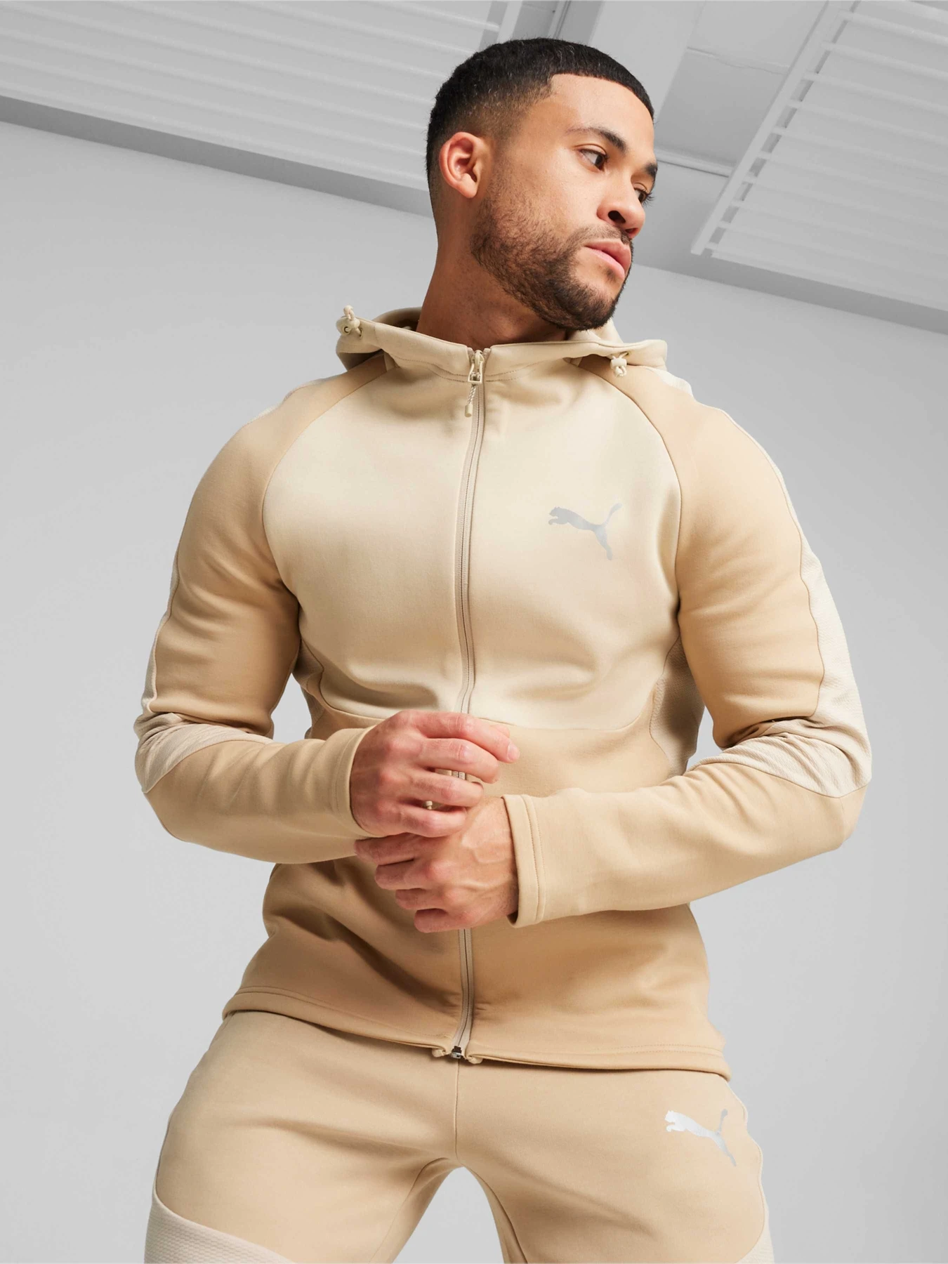 Худи и свитшоты PUMA Evostripe Full-zip Hoodie модель 678995 Фото