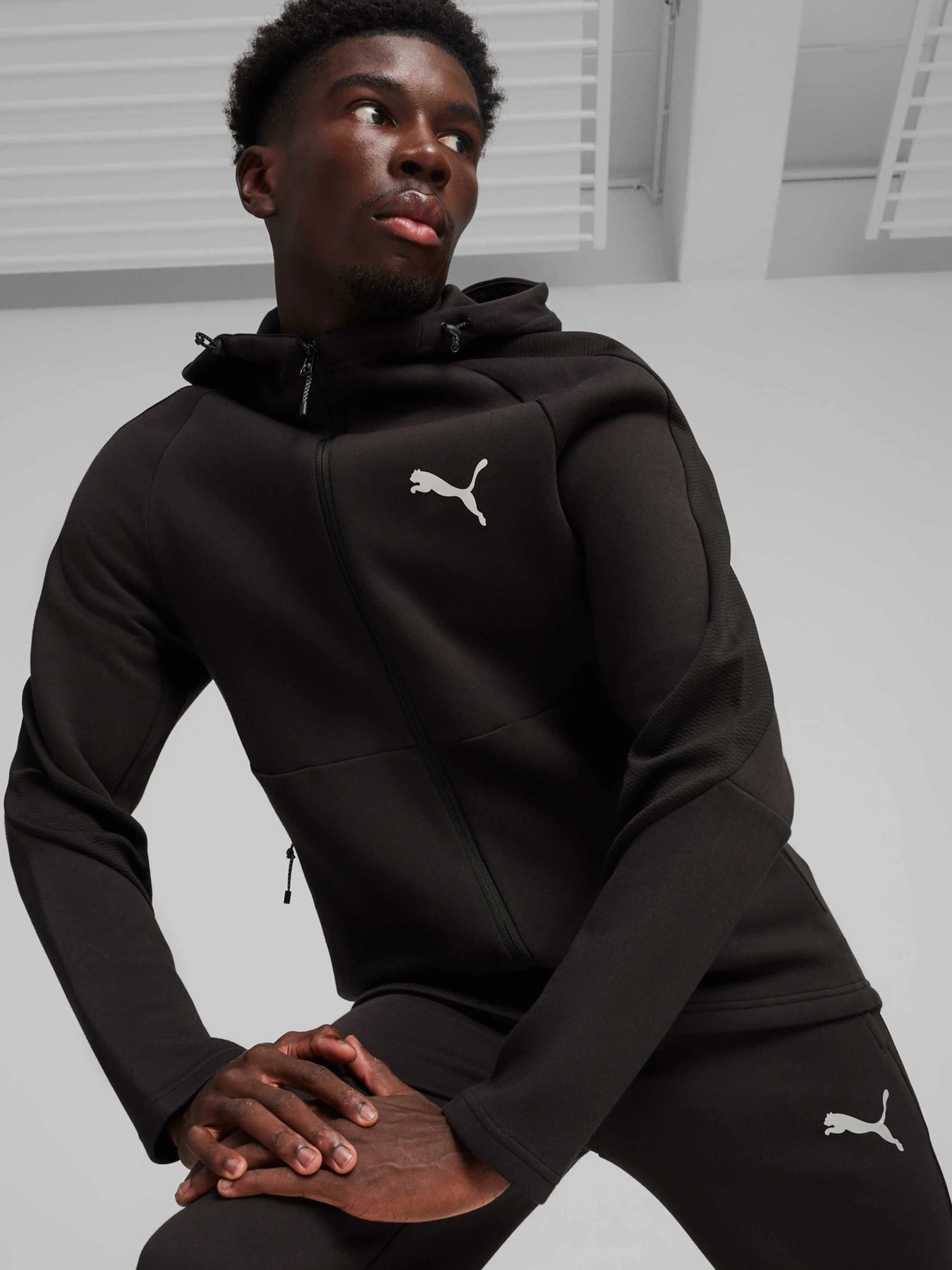Худи и свитшоты PUMA Evostripe Full-zip Hoodie модель 678995 Фото