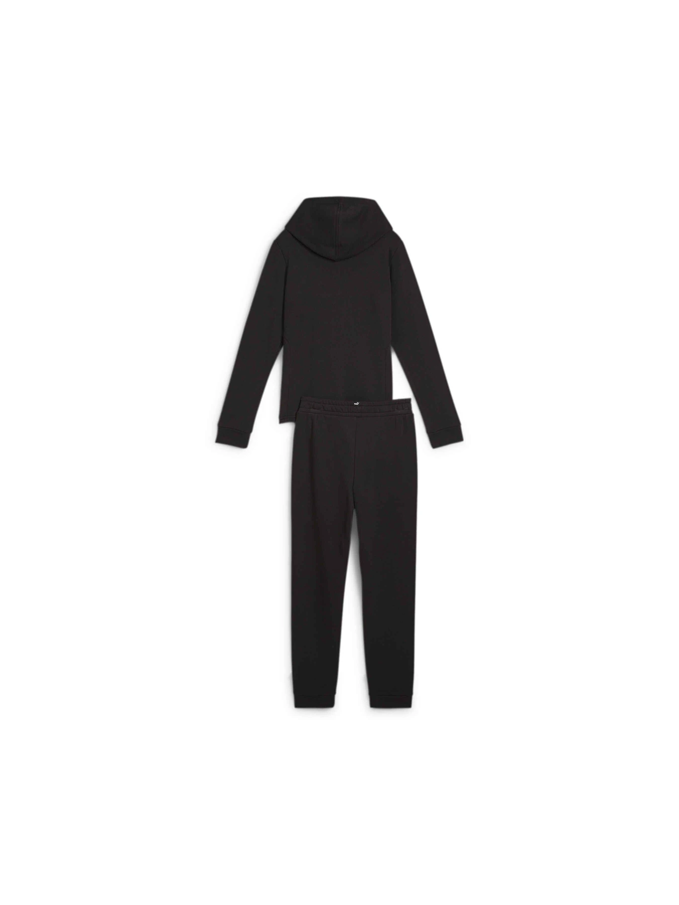 Костюми PUMA Hooded Sweat Suit модель 673586 Фото