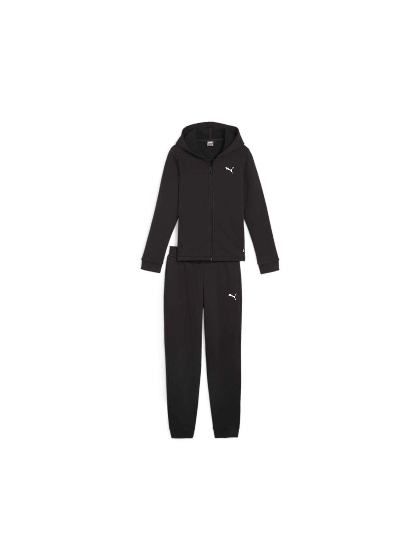 Костюми PUMA Hooded Sweat Suit модель 673586 Фото