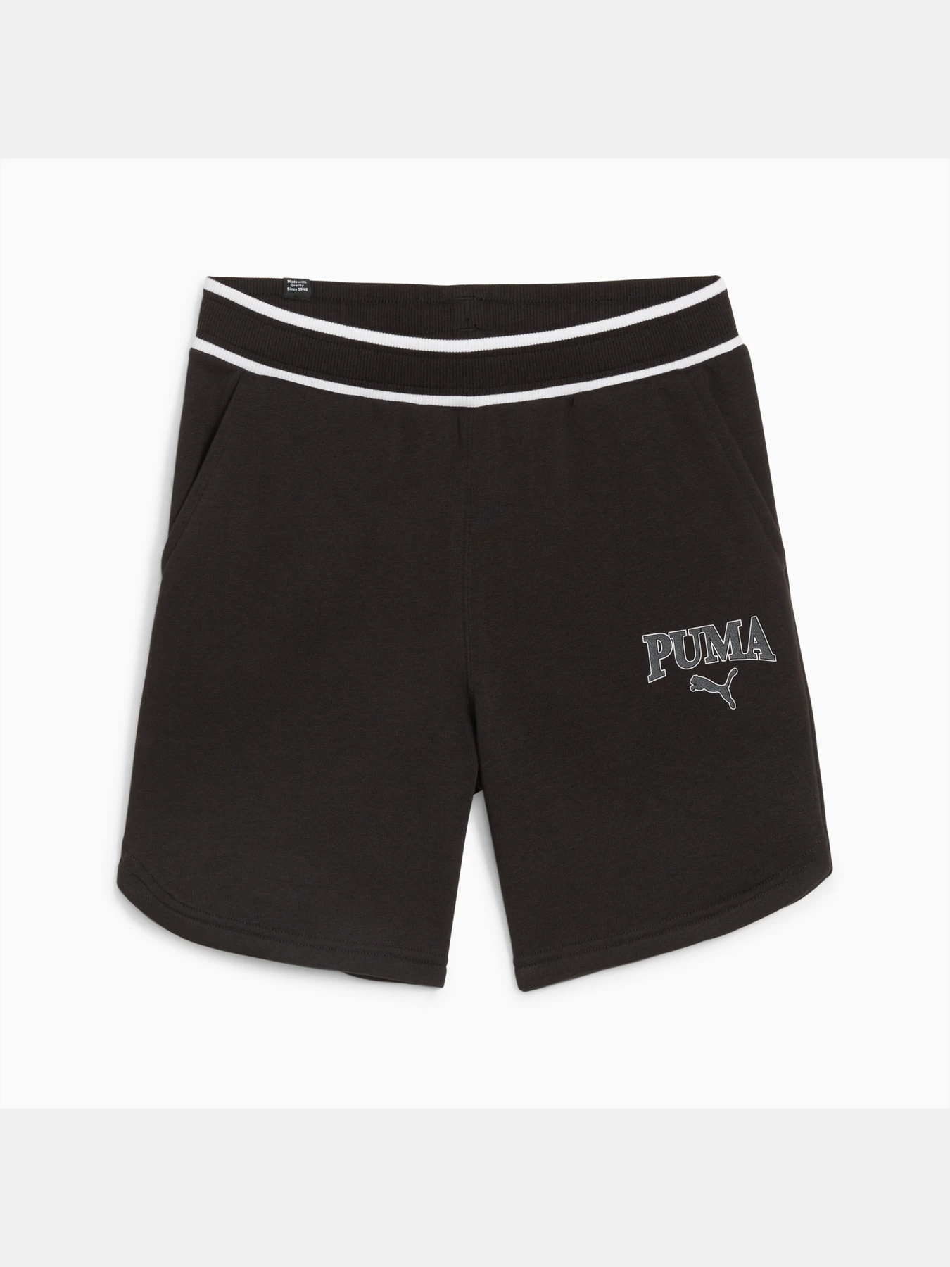 Шорты PUMA Squad Shorts Tr B модель 679267 Шорты PUMA Squad Shorts Tr B модель 679267 Фото