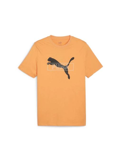 Футболки і поло PUMA Desert Road Graphic Tee модель 679705 Фото