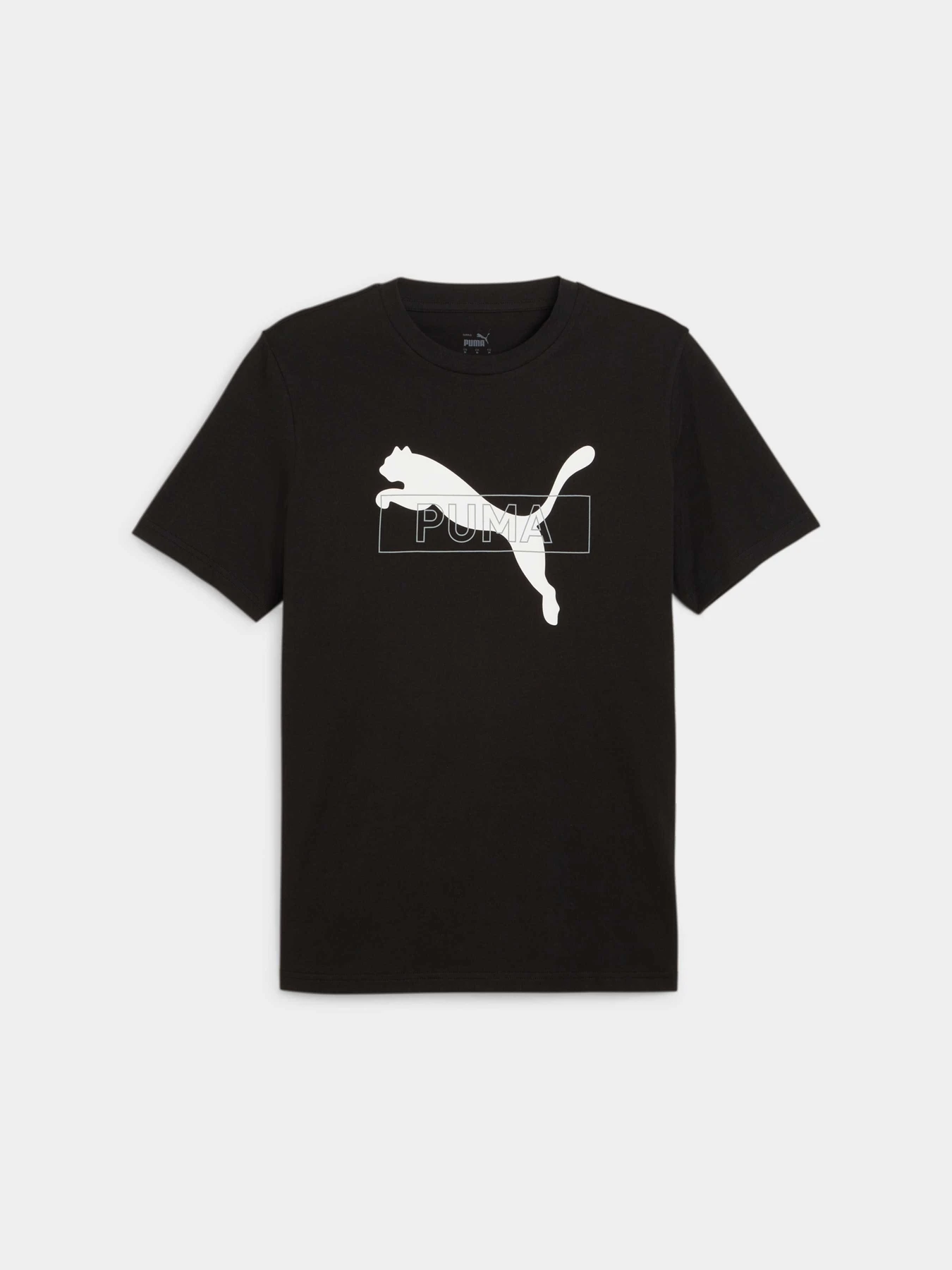 Футболки і поло PUMA Desert Road Graphic Tee модель 679705 Фото