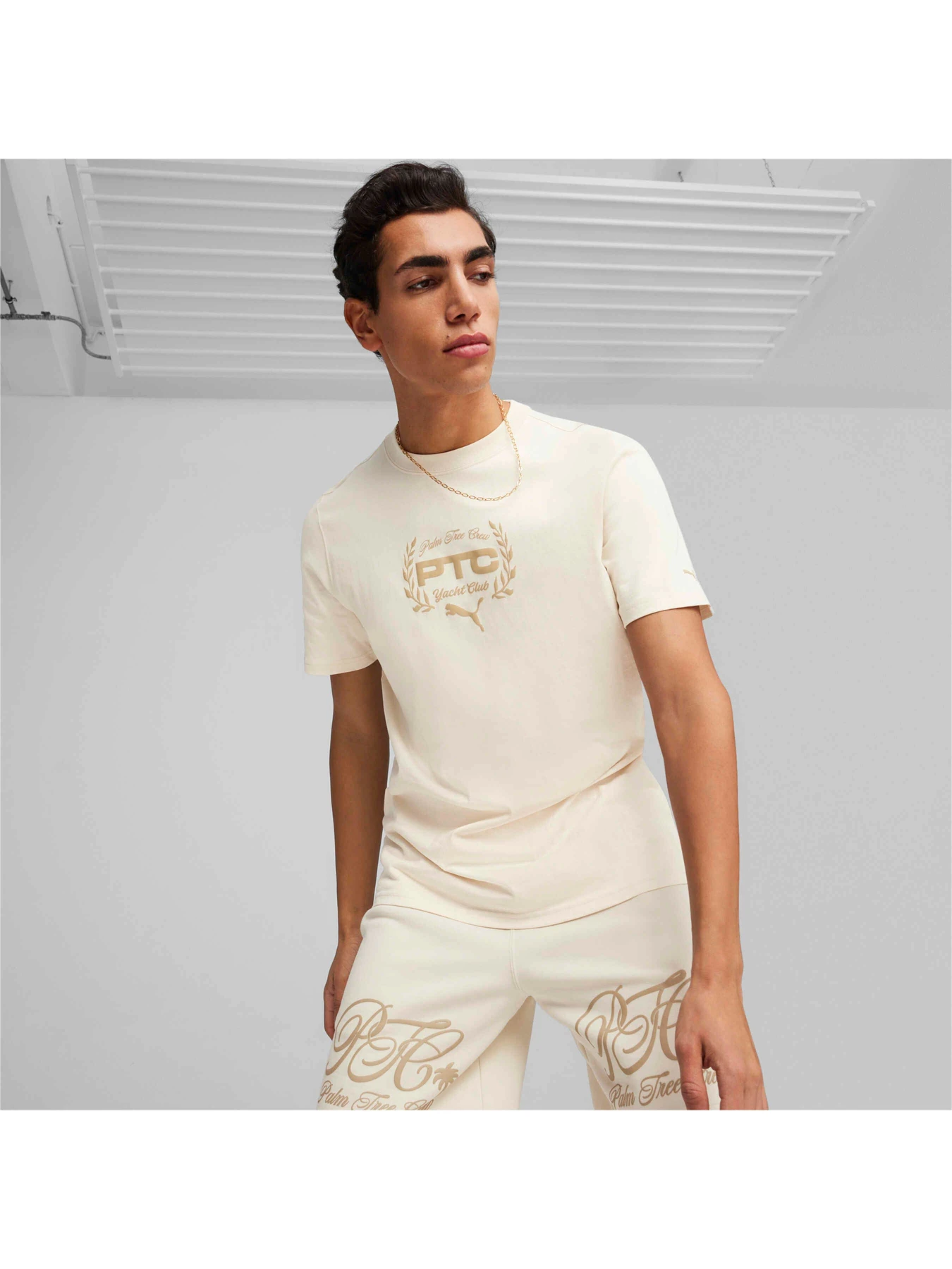Футболки і поло PUMA x Ptc Graphic Tee модель 624726 Фото