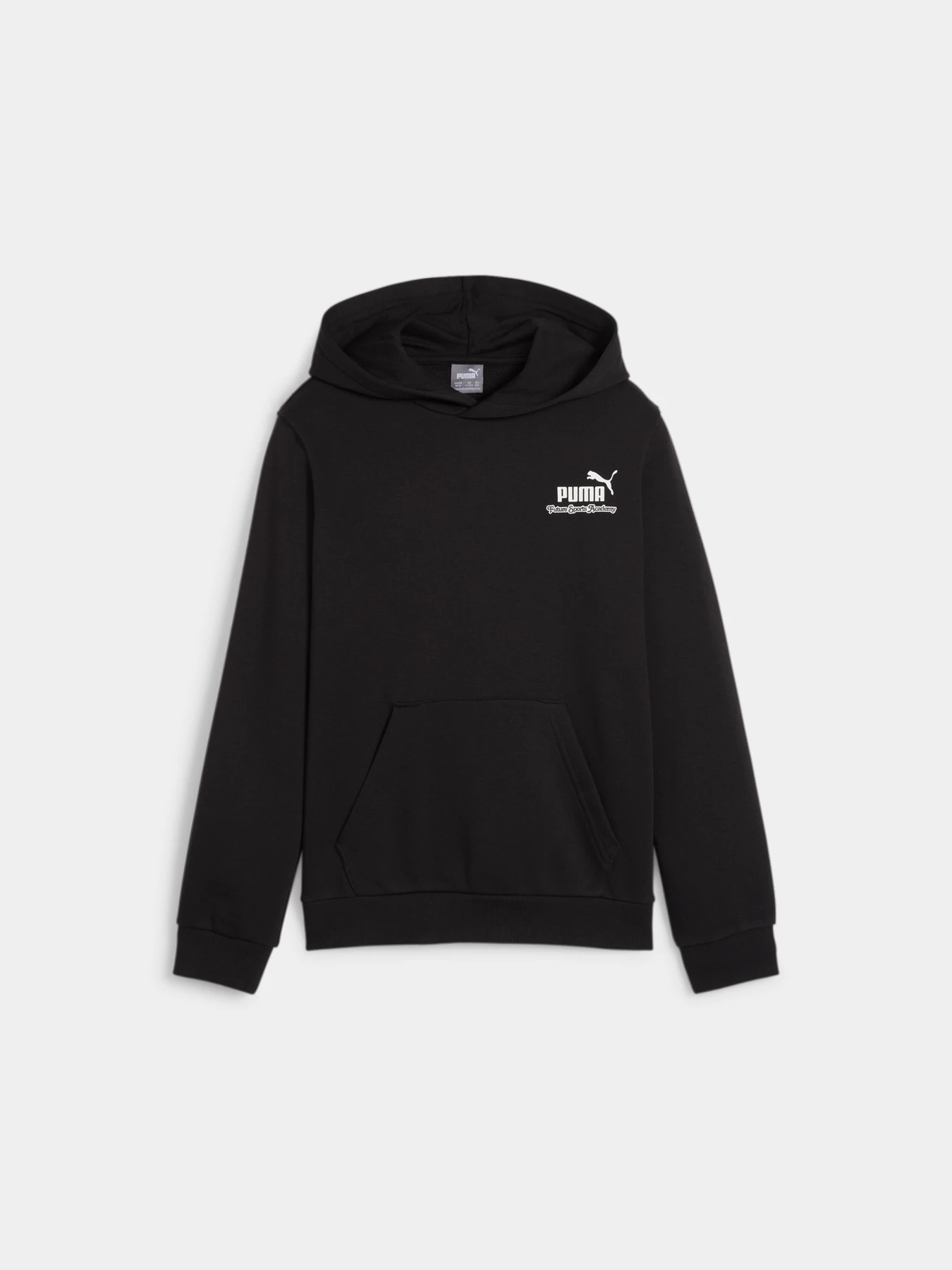 Худи и свитшоты PUMA Ess+ Mid 90s Hoodie модель 679245 Фото
