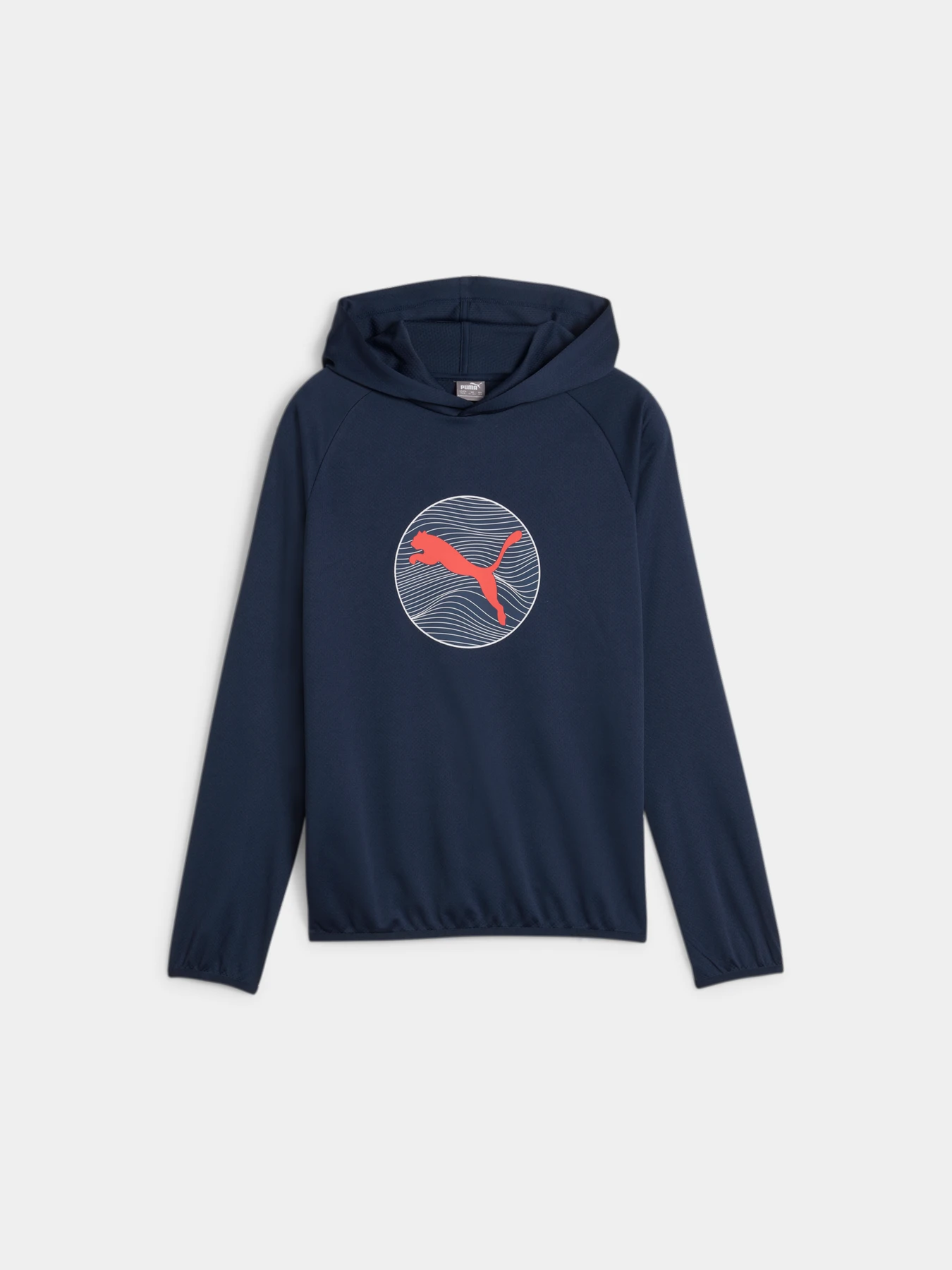 Худи и свитшоты PUMA Active Sports Poly Hoodie модель 679215 Фото