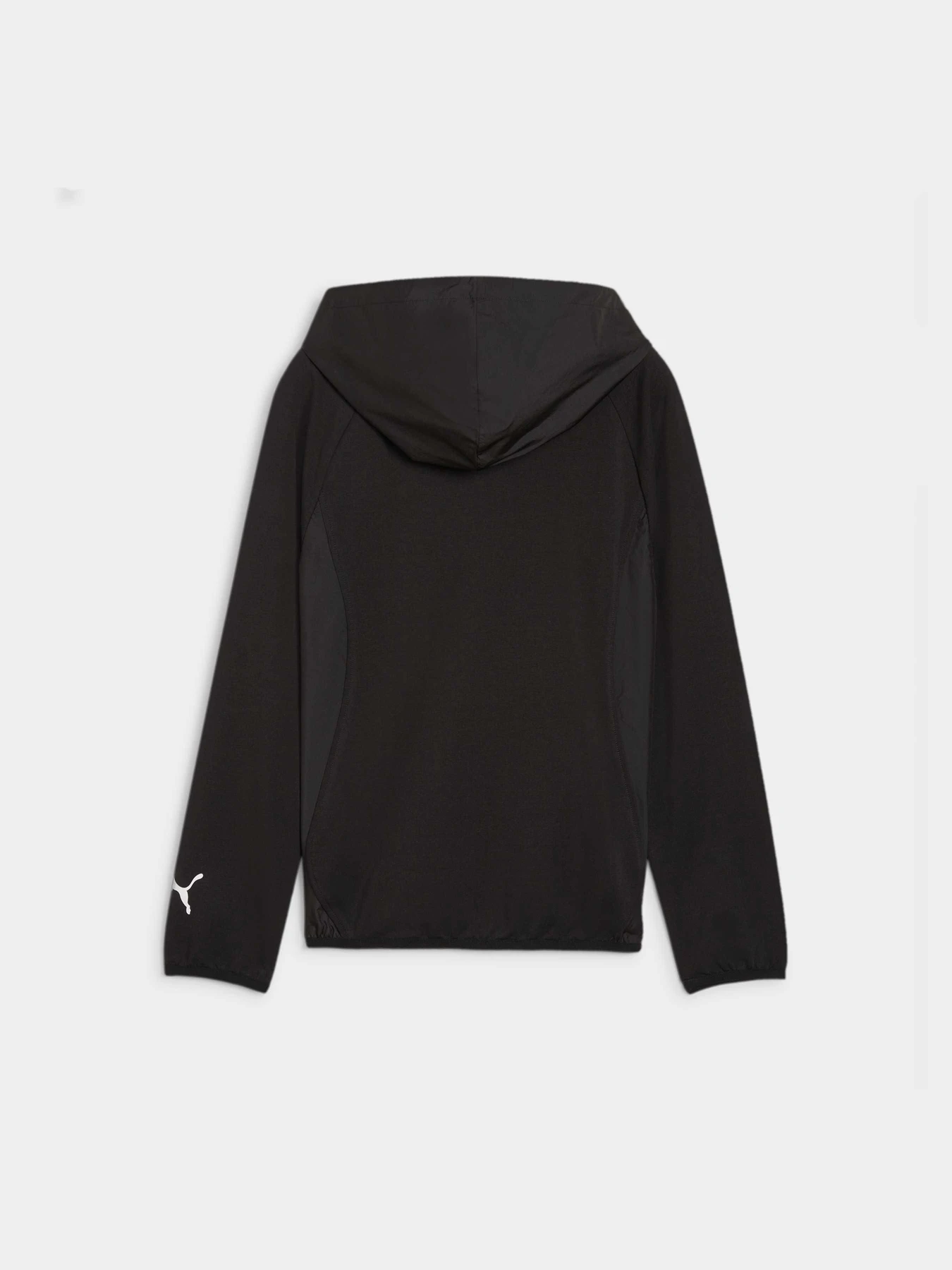 Худі та світшоти PUMA Active Sports Fullzip Hoodie модель 679210 Фото