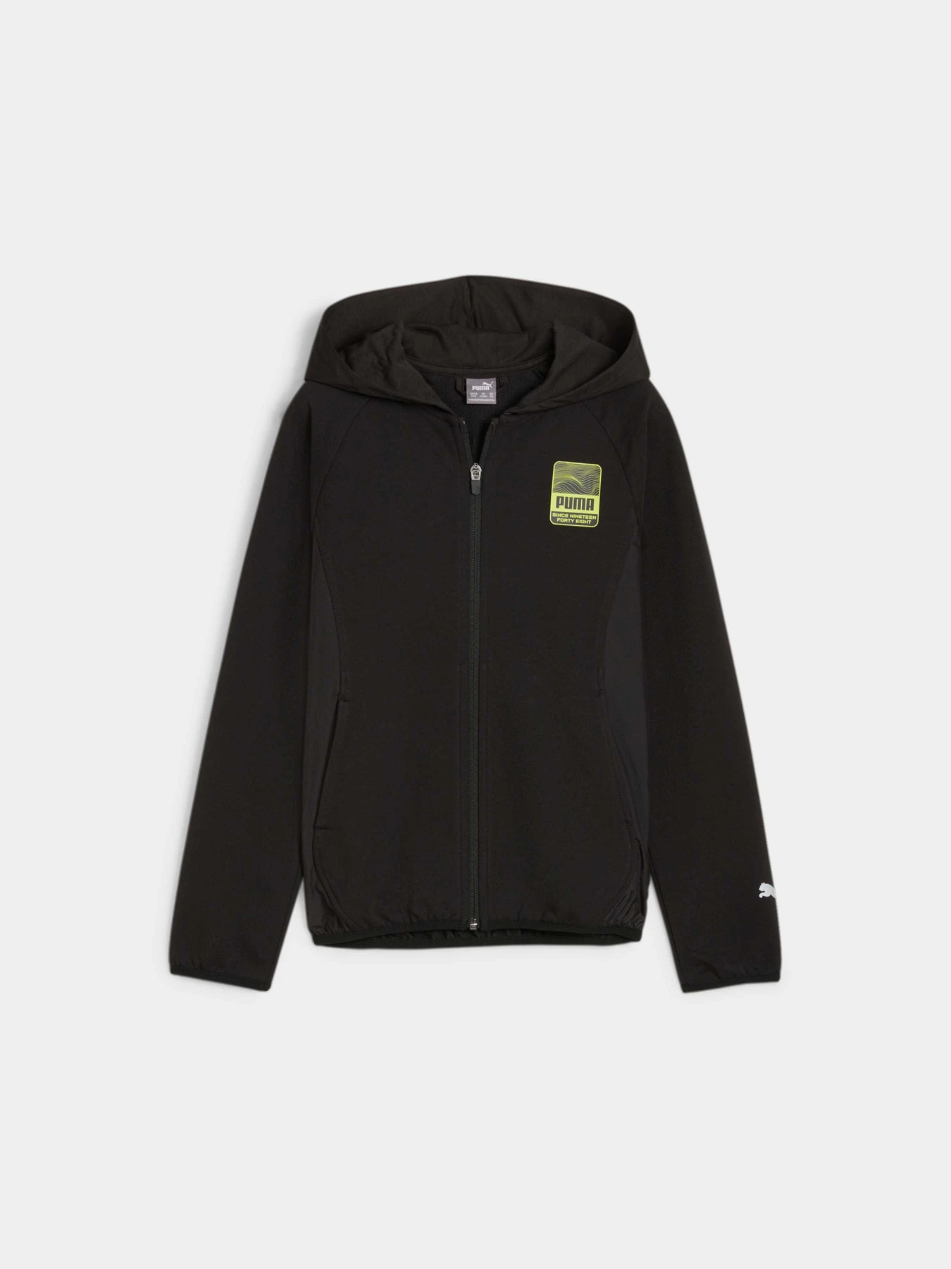 Худі та світшоти PUMA Active Sports Fullzip Hoodie модель 679210 Фото