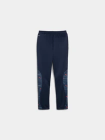 Брюки PUMA Active Sports Poly Pants модель 679217 Фото