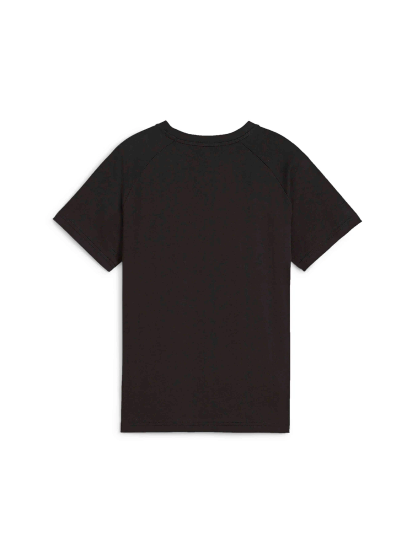 Футболки и поло PUMA Active Sports Graphic Tee модель 679206 Фото