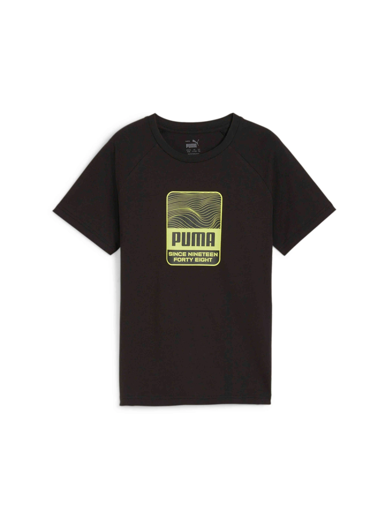 Футболки и поло PUMA Active Sports Graphic Tee модель 679206 Фото