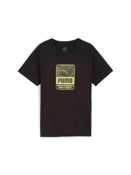 Футболки и поло PUMA Active Sports Graphic Tee модель 679206 Фото