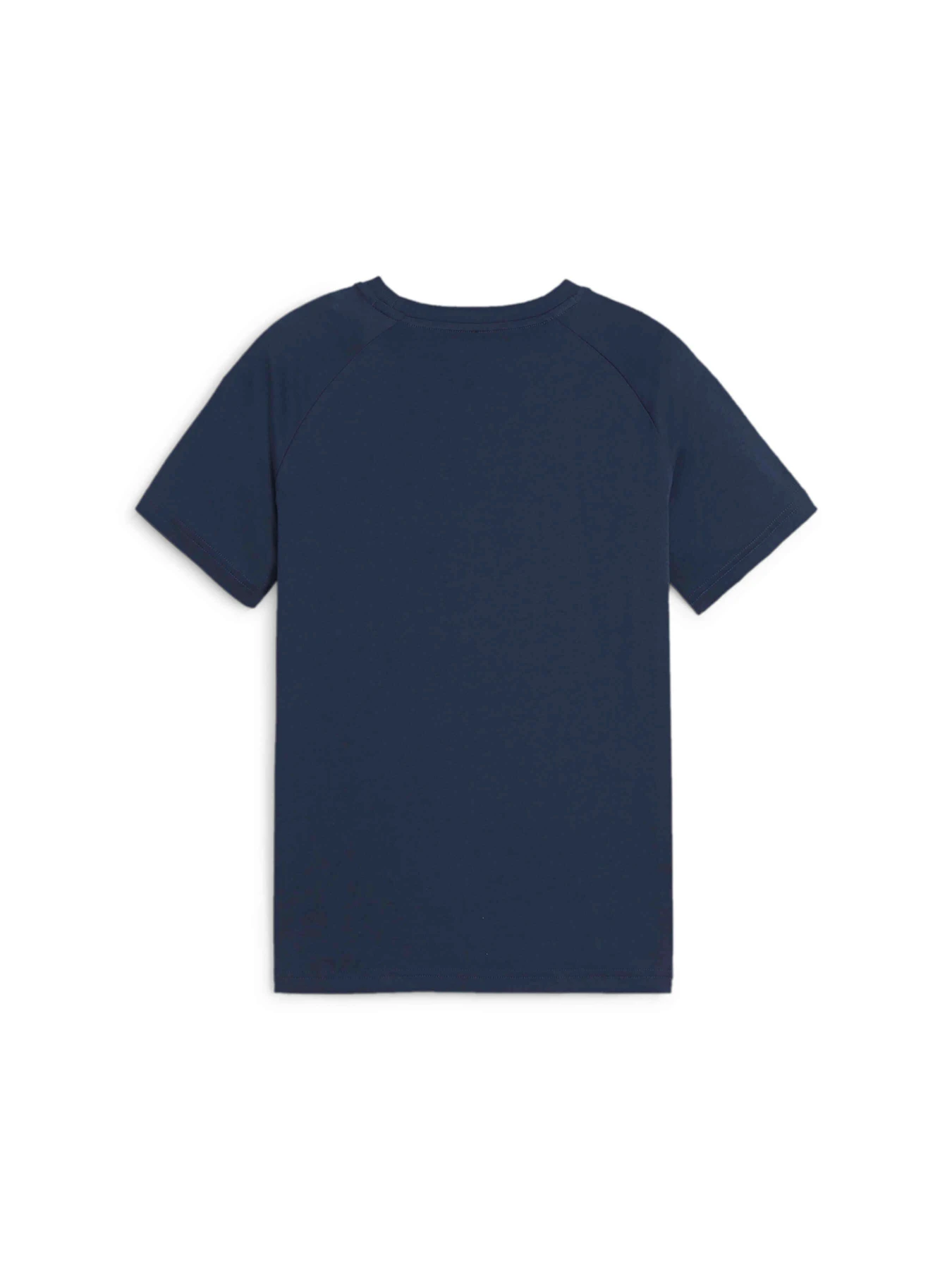 Футболки и поло PUMA Active Sports Graphic Tee модель 679206 Футболки и поло PUMA Active Sports Graphic Tee модель 679206 Фото