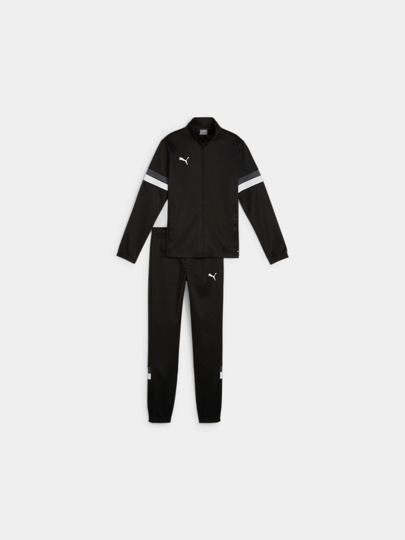 Костюмы PUMA Teamrise Tracksuit Jr модель 658655 Костюмы PUMA Teamrise Tracksuit Jr модель 658655 Фото