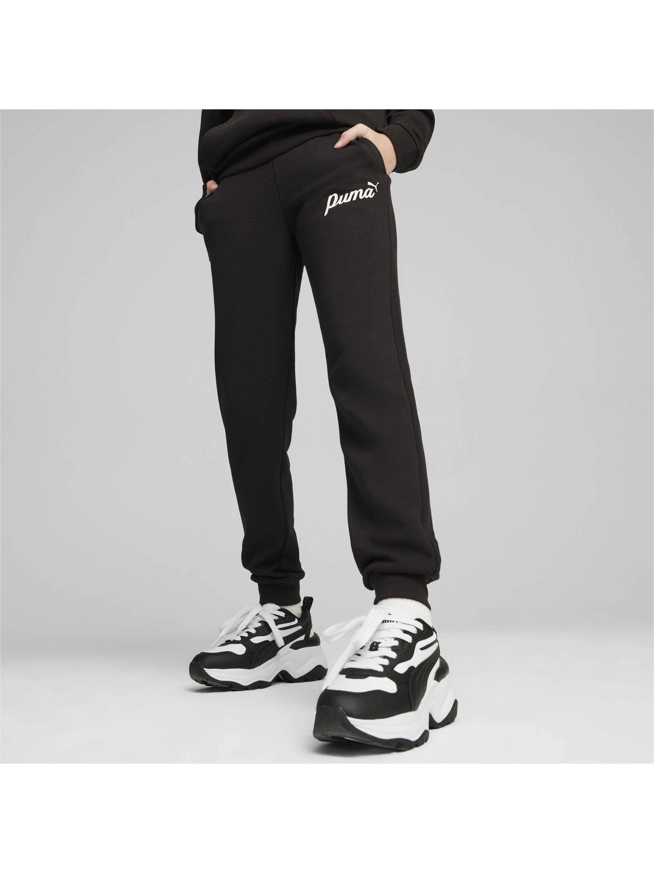 Брюки PUMA Ess+ Script Pants Tr модель 679407 Фото