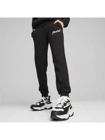 Брюки PUMA Ess+ Script Pants Tr модель 679407 Фото