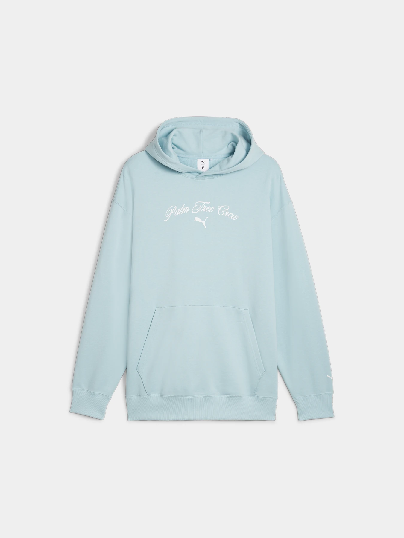 Худи и свитшоты PUMA x Ptc Graphic Hoodie модель 624727 Фото