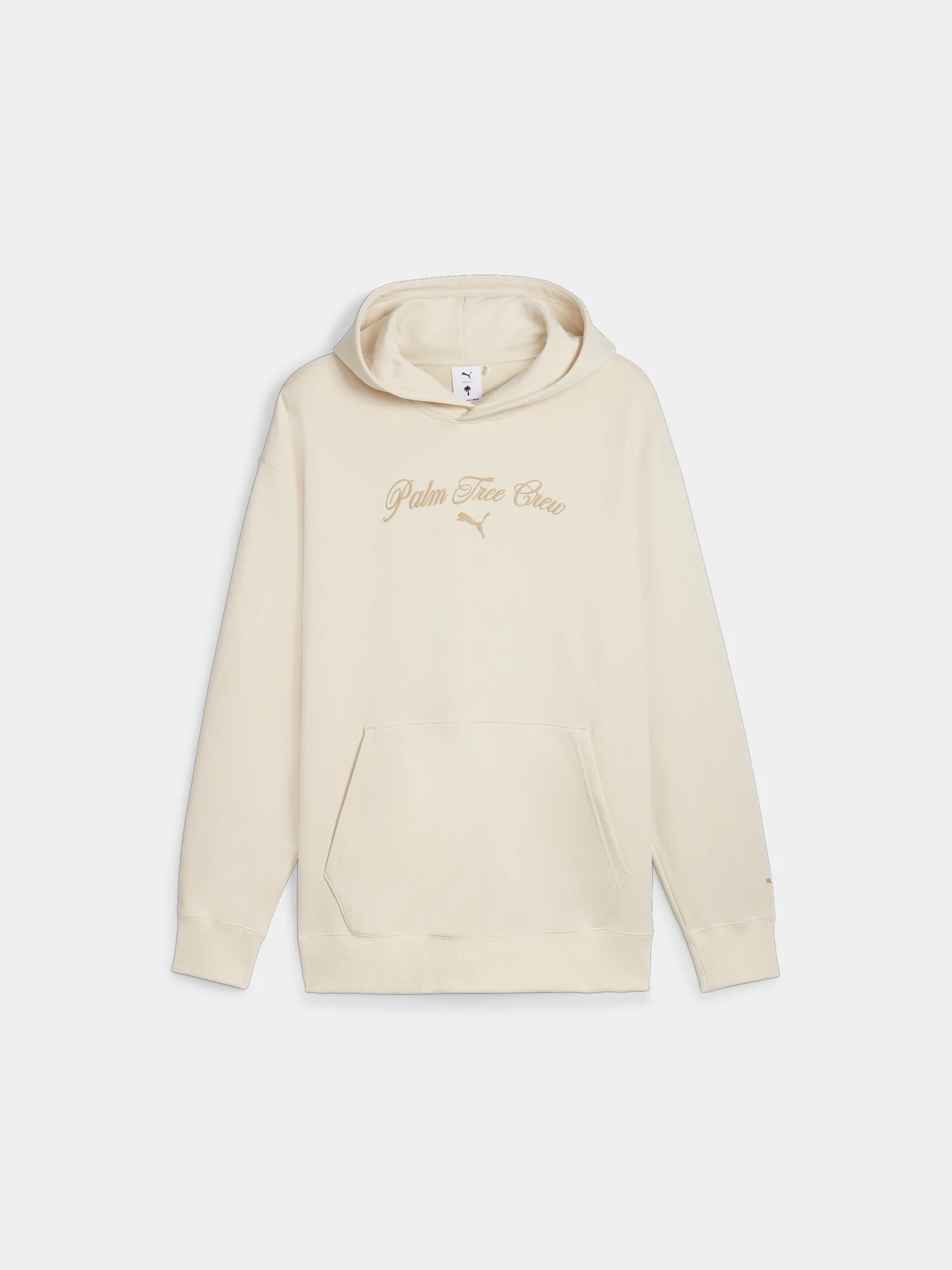 Худи и свитшоты PUMA x Ptc Graphic Hoodie модель 624727 Фото