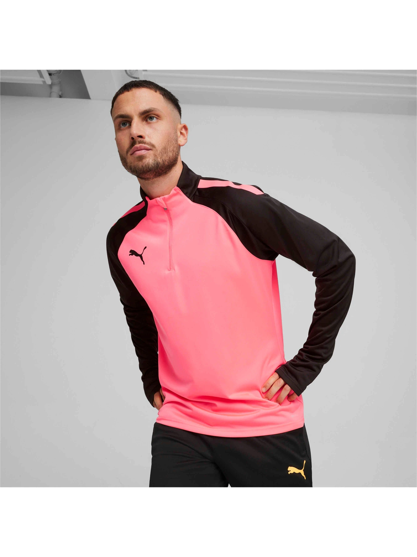 Худи и свитшоты PUMA Teamliga 1/4 Zip Top модель 657236 Фото