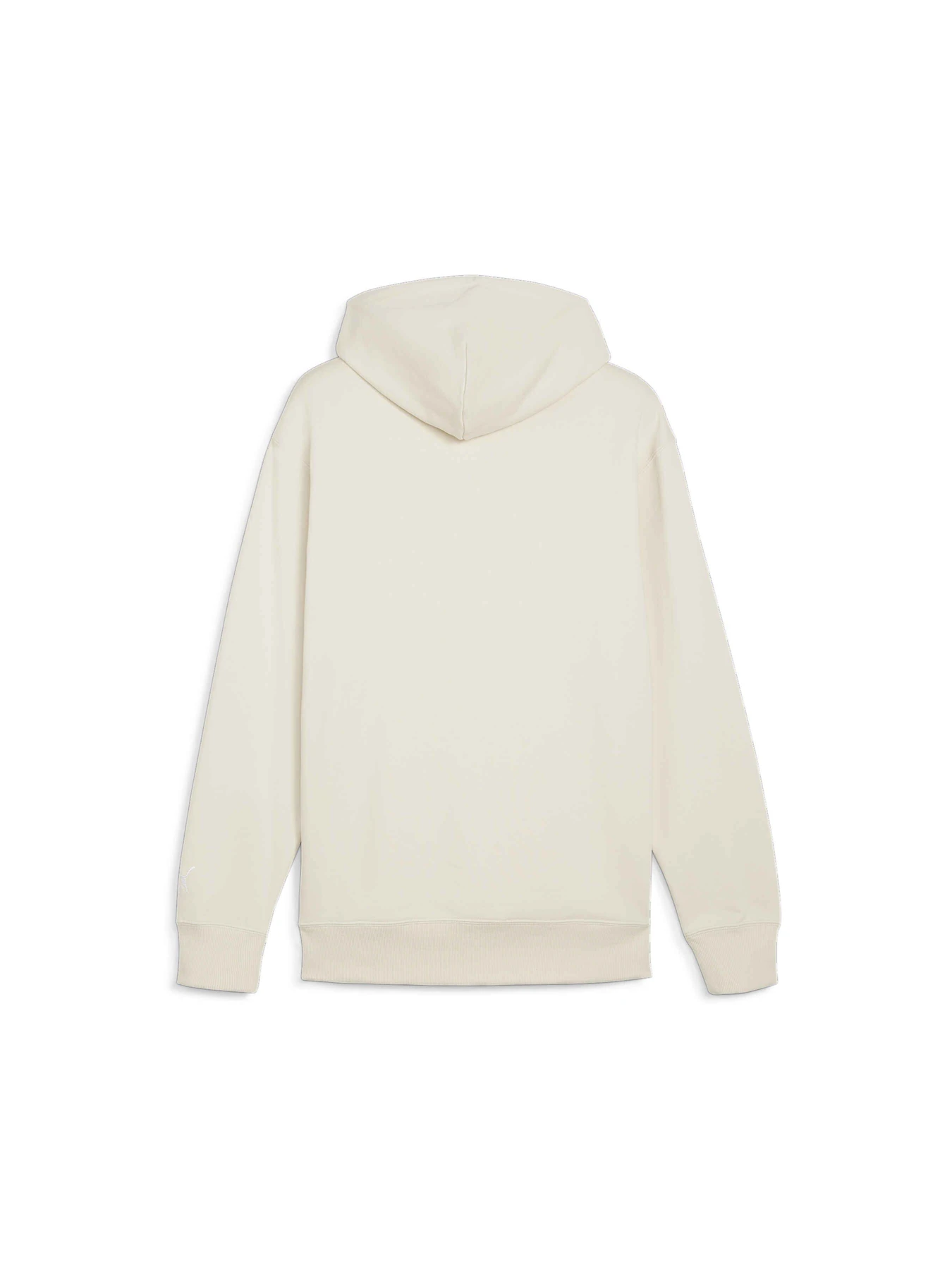 Худи и свитшоты PUMA Team Hoodie модель 624396 Фото
