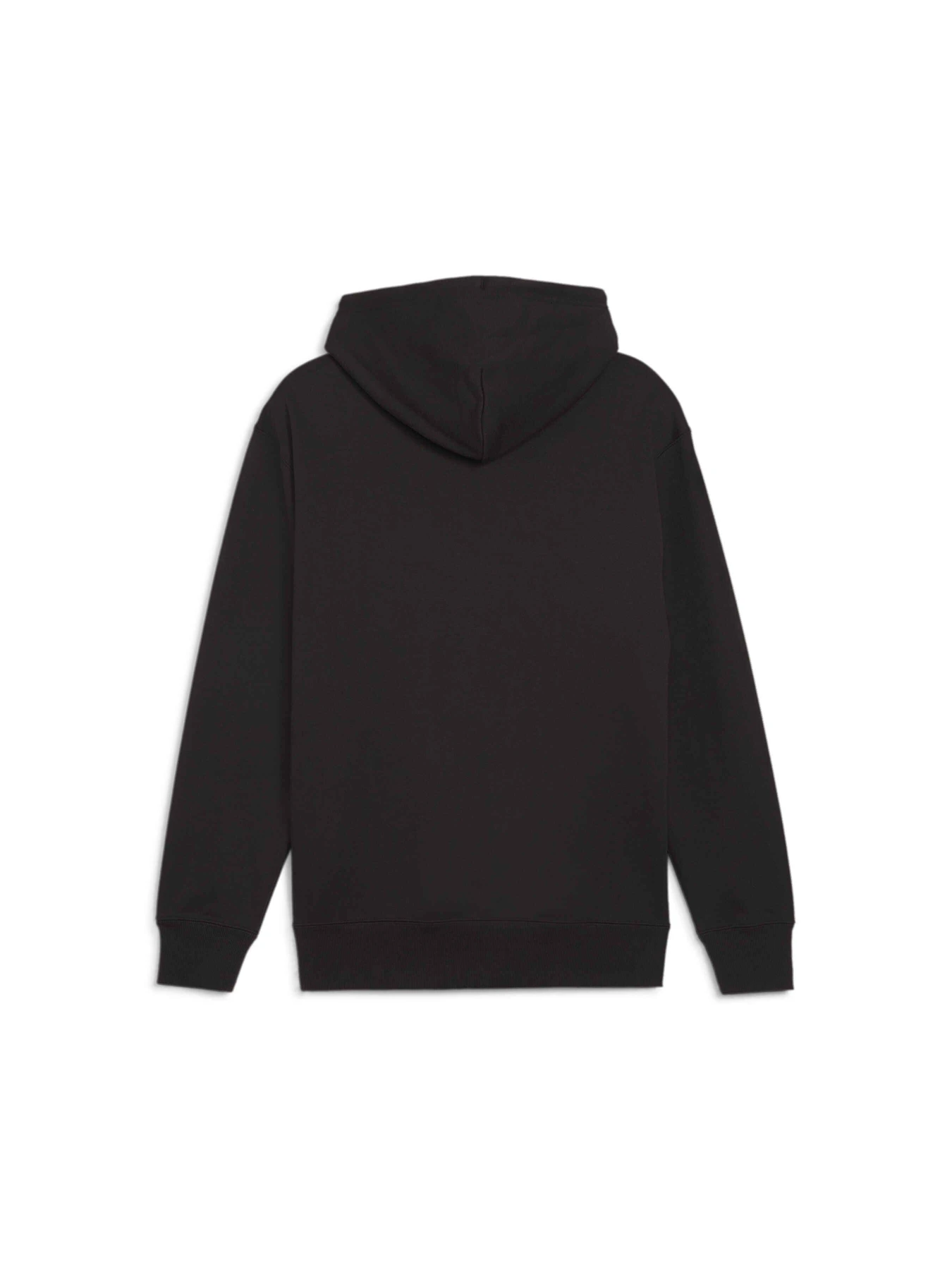 Худи и свитшоты PUMA Team Hoodie модель 624338 Фото
