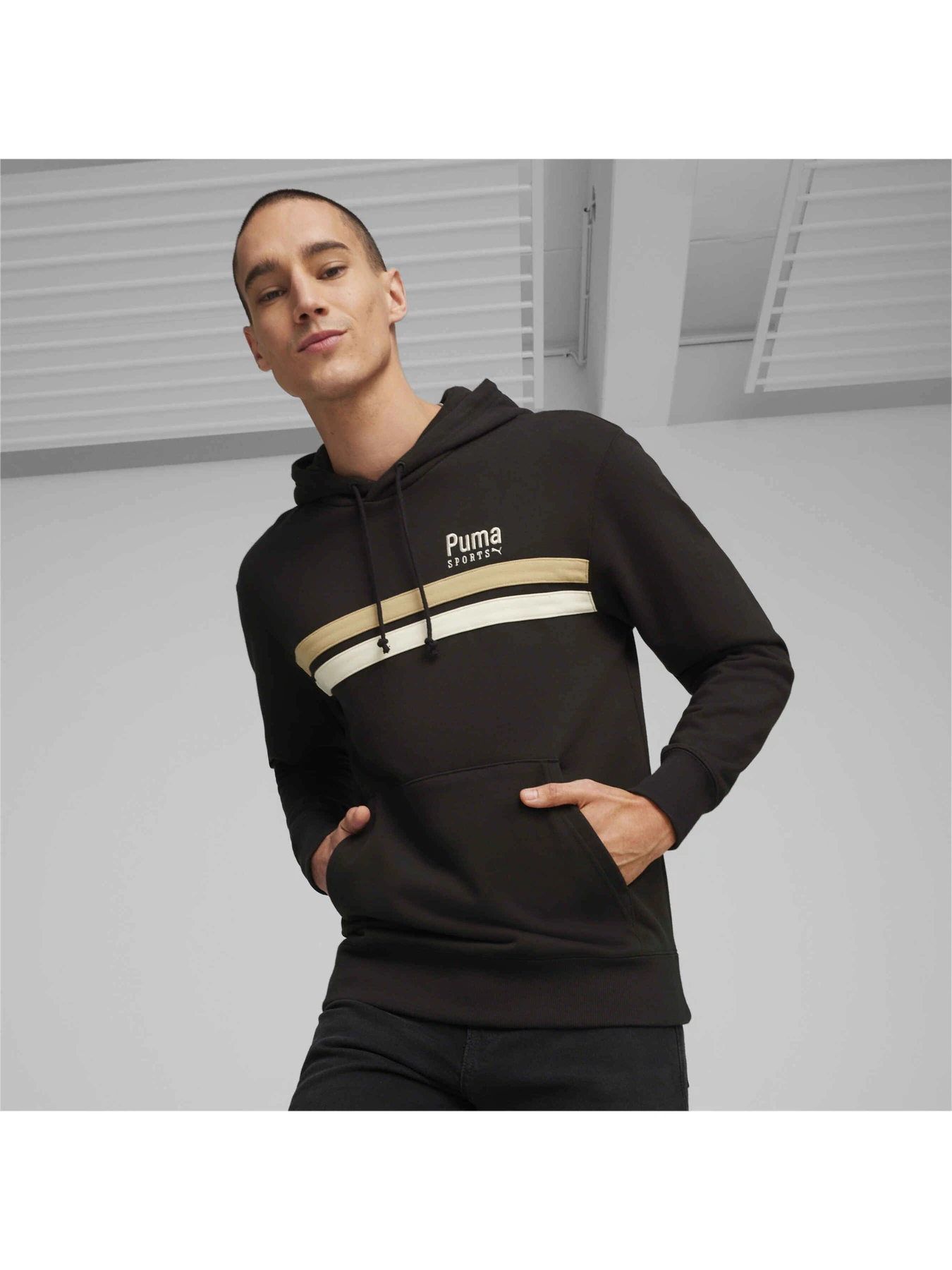 Худи и свитшоты PUMA Team Hoodie модель 624338 Фото