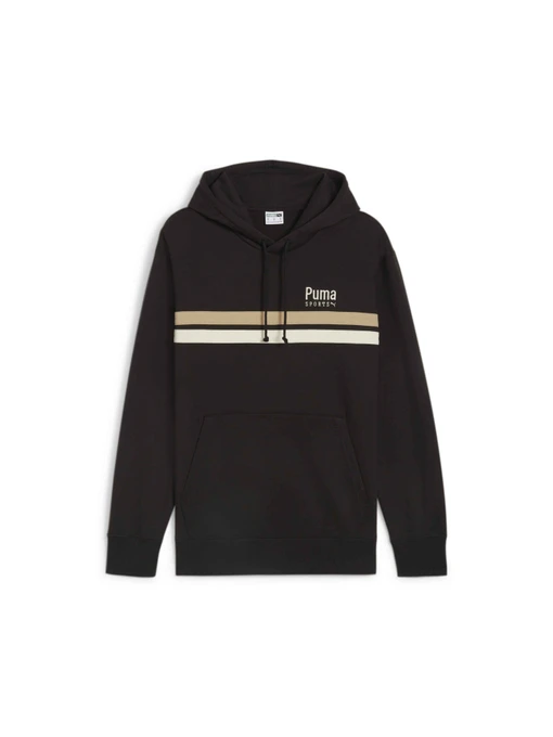 Худи и свитшоты PUMA Team Hoodie модель 624338 Фото