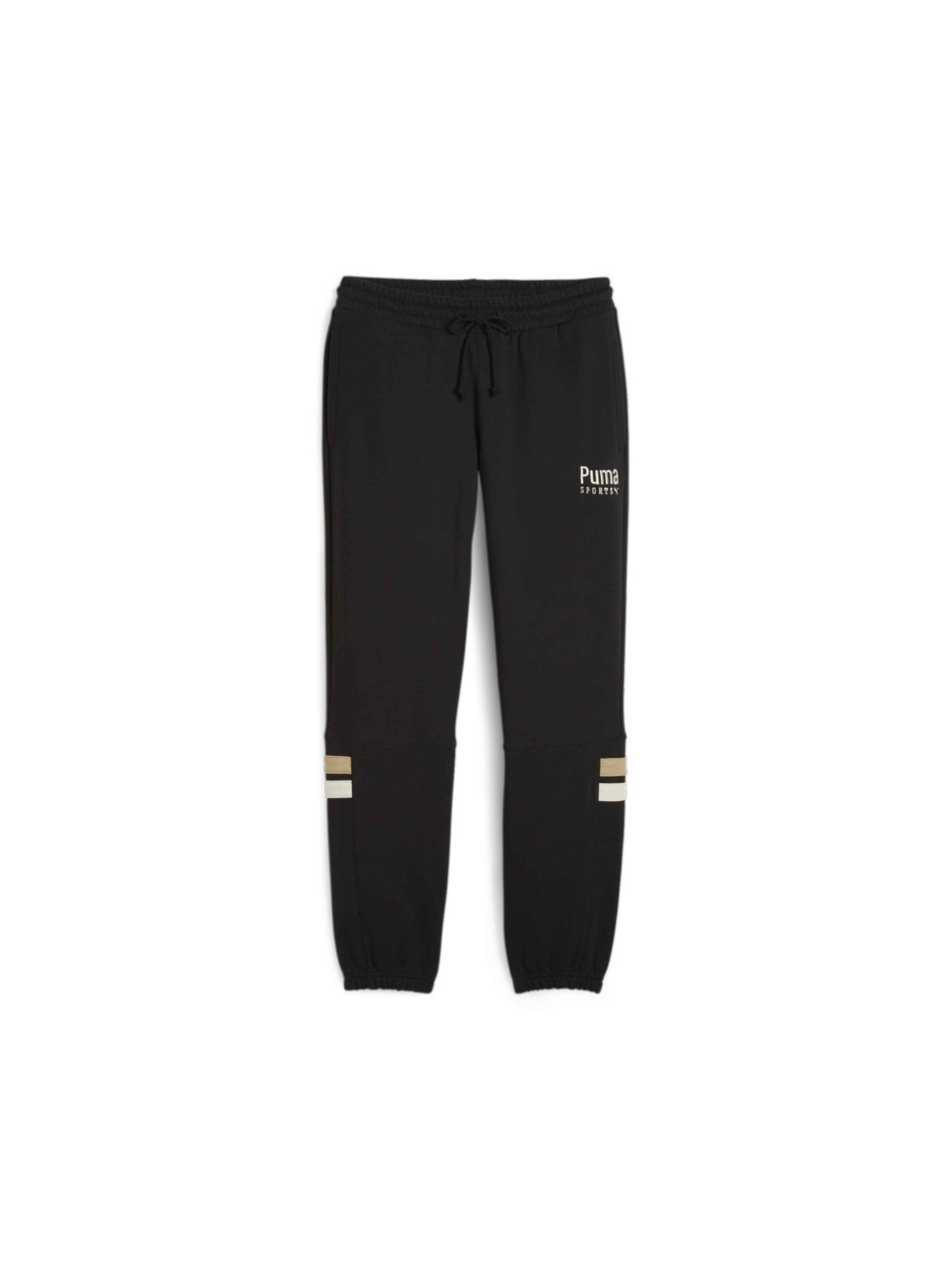 Брюки PUMA Team Sweatpants модель 624344 Брюки PUMA Team Sweatpants модель 624344 Фото