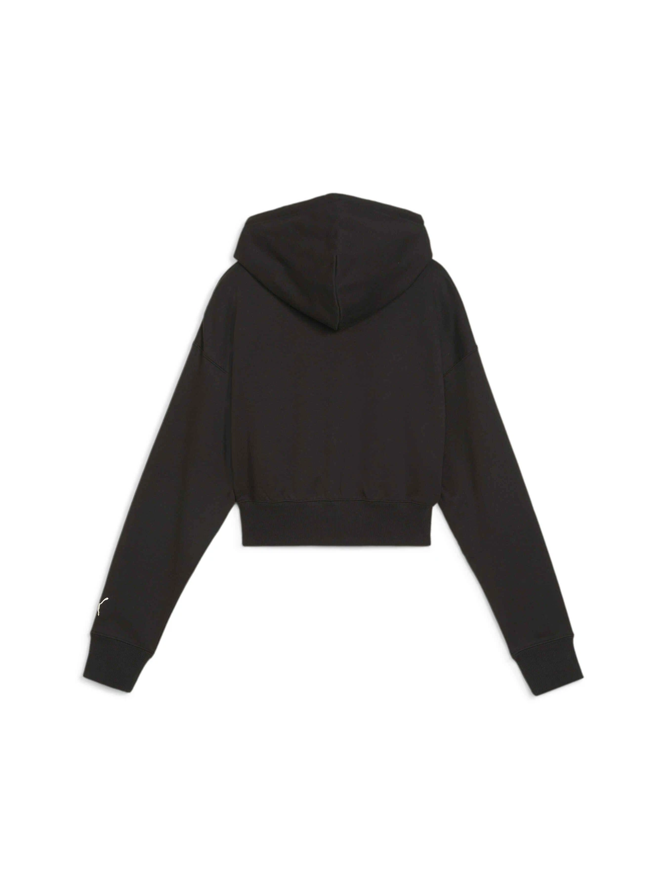 Худи и свитшоты PUMA Team Cropped Hoodie модель 624346 Фото
