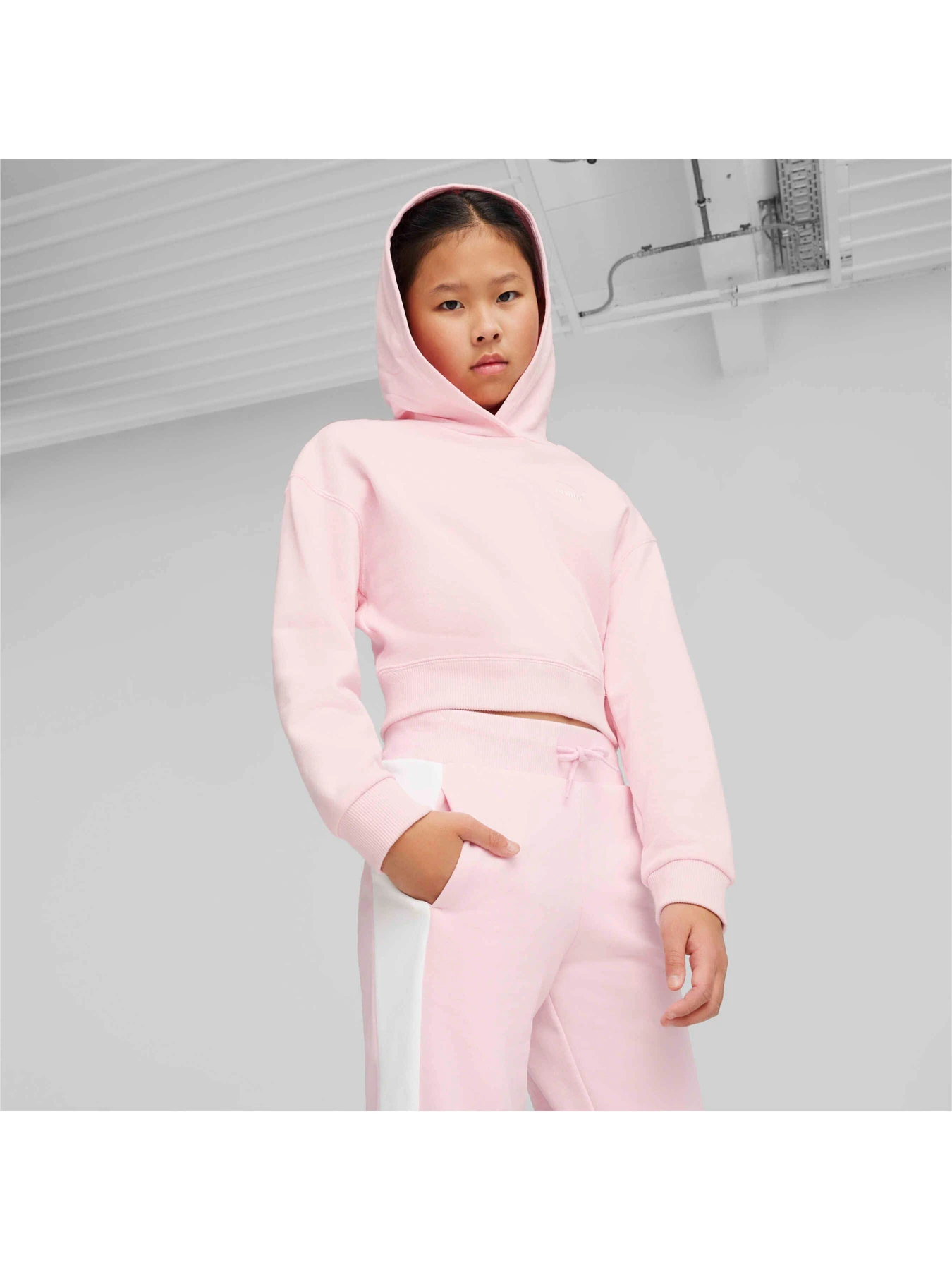 Худи и свитшоты PUMA Better Classics Hoodie модель 624454 Худи и свитшоты PUMA Better Classics Hoodie модель 624454 Фото