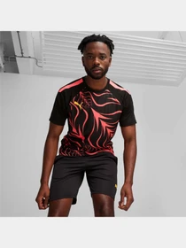 Футболки и поло PUMA Individualliga Graphicjersey модель 658984 Фото